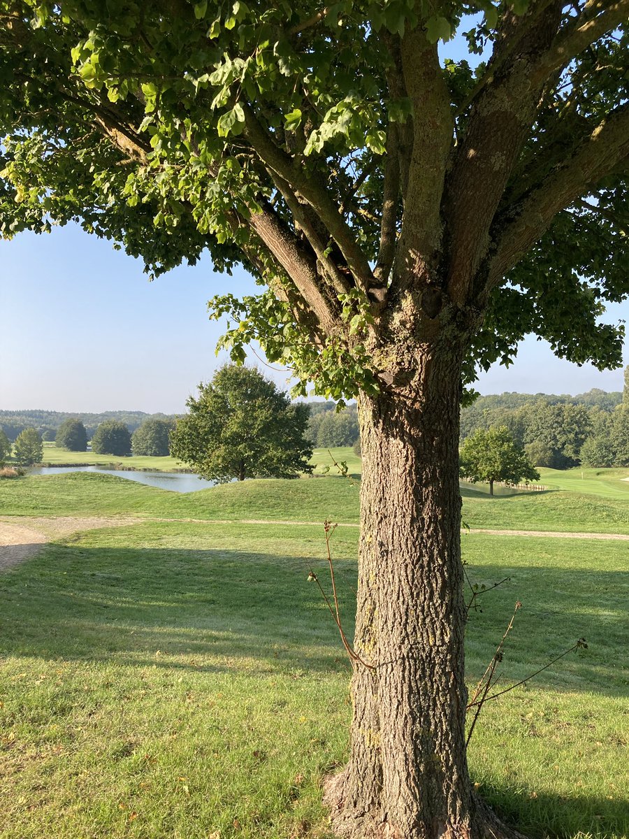 Pauline Couturier tweet media