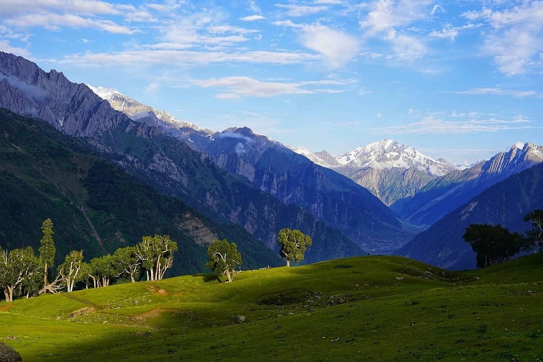 hikingkashmir's tweet photo. Green grass, clear sky ,freshness in air after good rain. ❤️
Photo : Sankhet Gokhale
#Ganderbal #exploringganderbal https://t.co/m8VvH52Eip