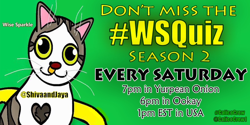 CalicoCrew1's tweet photo. 🎶Guess who's back? Guess who's back🎶
🎶Sparkle's back...Yeah, she's back🎶
🎶She brought it back...The #WSQuiz🎶
🎶Yes, it's back..Yes, it's back..Yes, it's back🎶
#CalicoCrew #CatsOfTwitter @ShivaandJaya
Rules for the #WSQuiz can be found at https://t.co/JFyuLYVc0i https://t.co/ajZZNfkYst