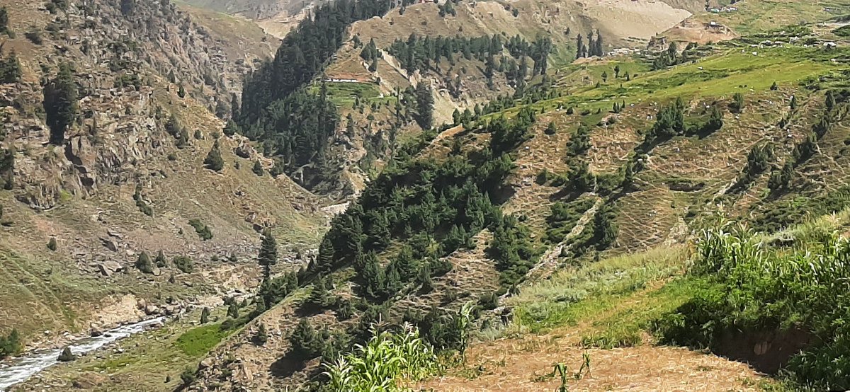 EcoVibeExplorer's tweet photo. Somewhere at Naran-Babusar Road, Kaghan Valley, Khyber Pakhtunkhwa, Pakistan. 
#Splitphoto 
#BeautifulPakistan #ExplorePakistan https://t.co/bQUbC0MeRs