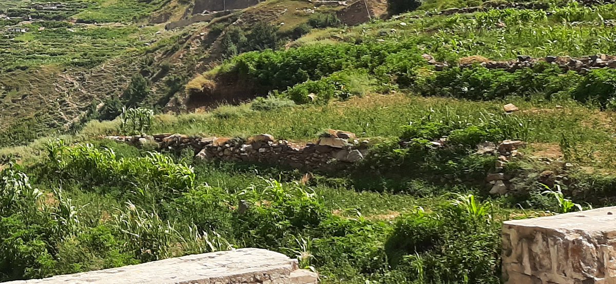 EcoVibeExplorer's tweet photo. Somewhere at Naran-Babusar Road, Kaghan Valley, Khyber Pakhtunkhwa, Pakistan. 
#Splitphoto 
#BeautifulPakistan #ExplorePakistan https://t.co/bQUbC0MeRs
