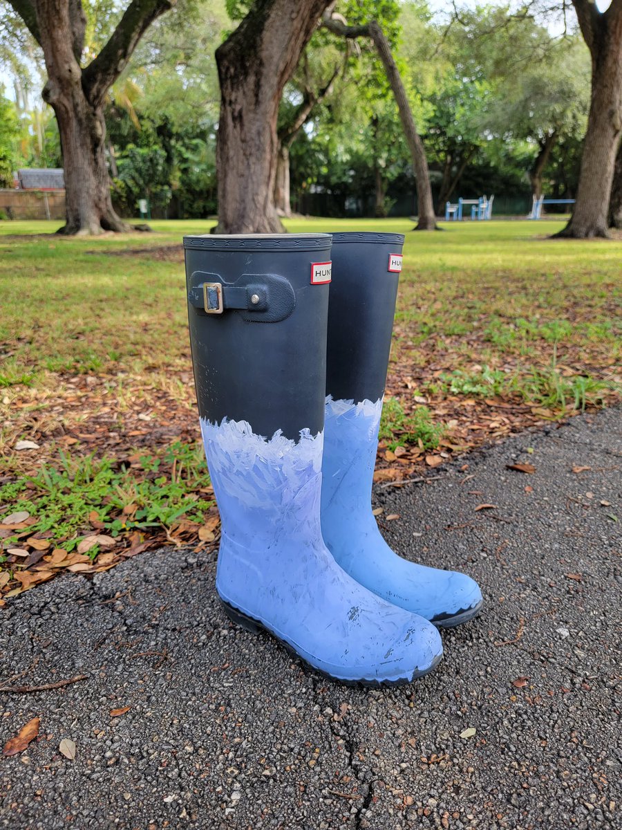 FIU Institute of Environment tweet media