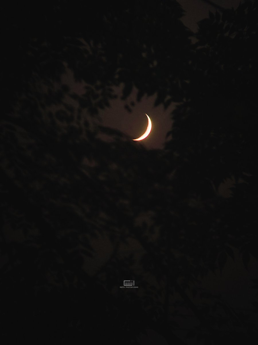 _anassaeed's tweet photo. in love with the moon tonight. https://t.co/bL2Ziz3aXH