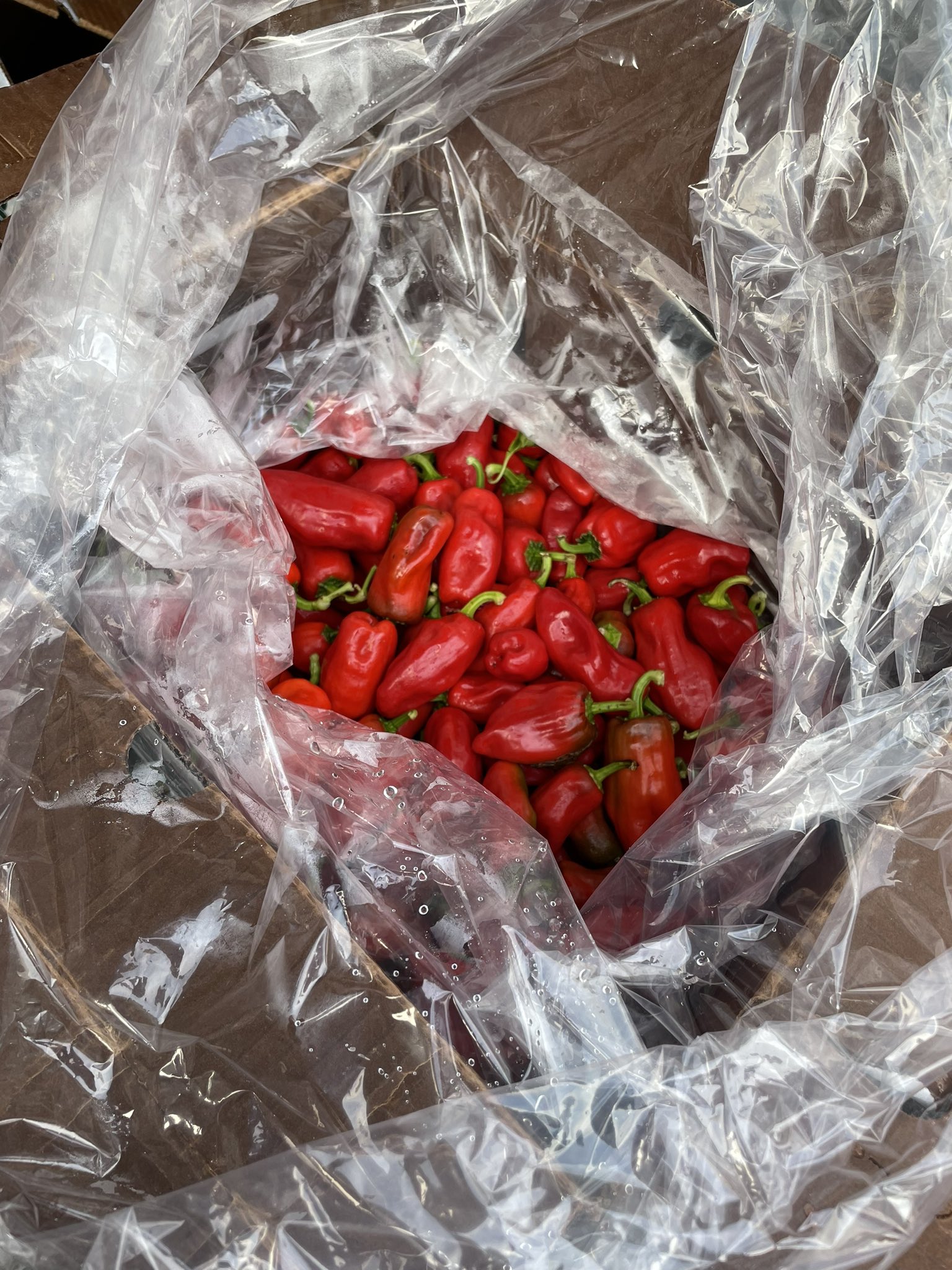 Boonie828 on Twitter "Where can you eat local in Boone? 