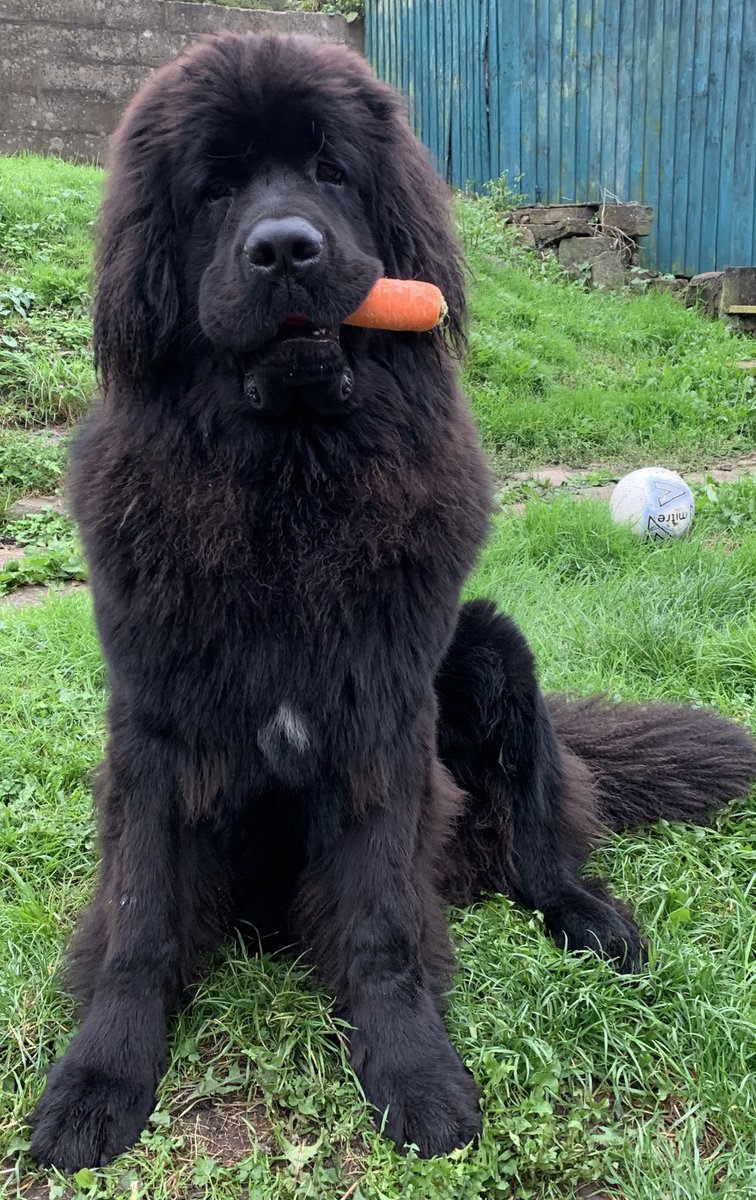 Carrot time 🥕