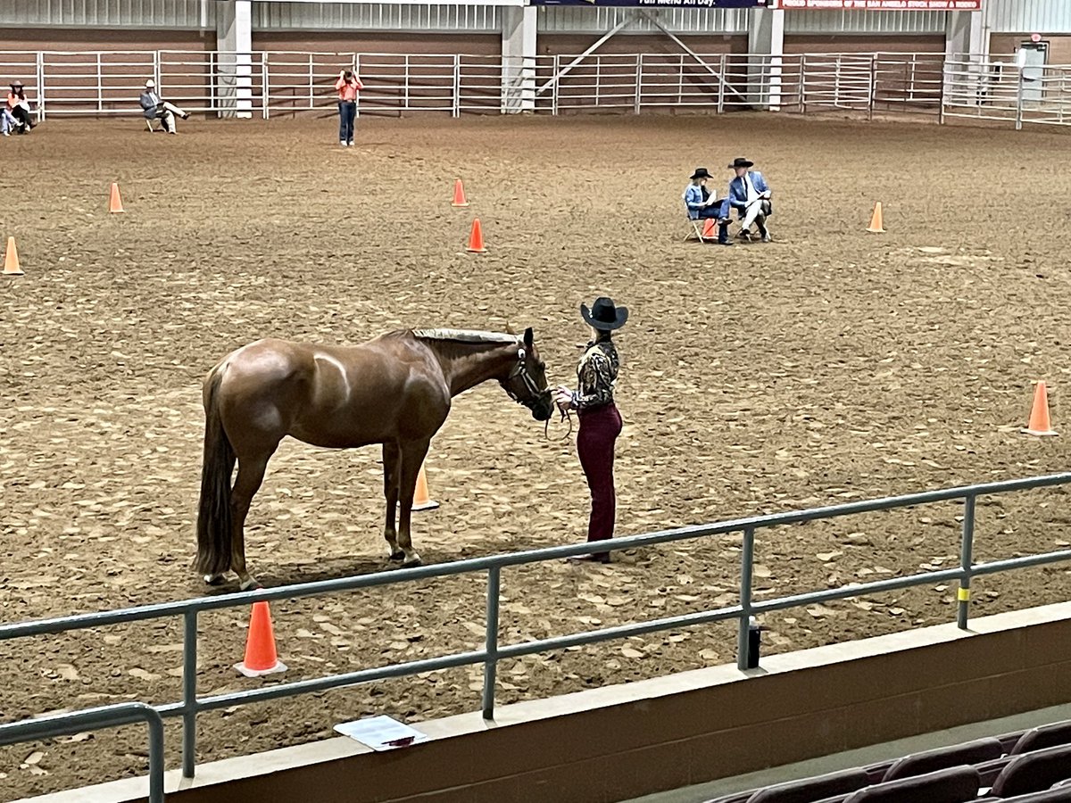seale_thedeal's tweet photo. Supporting students in all that they do! Both inside and out of the classroom! #teachag #texasagriculture #RQHA #centralHS #sanangeloisd https://t.co/unVwnLfmew