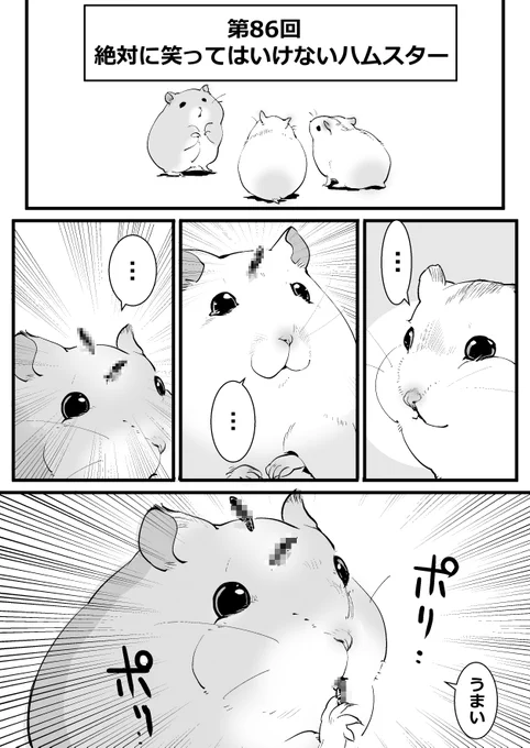 うわああハムスターがしゃべったあああ#ハムスター漫画 