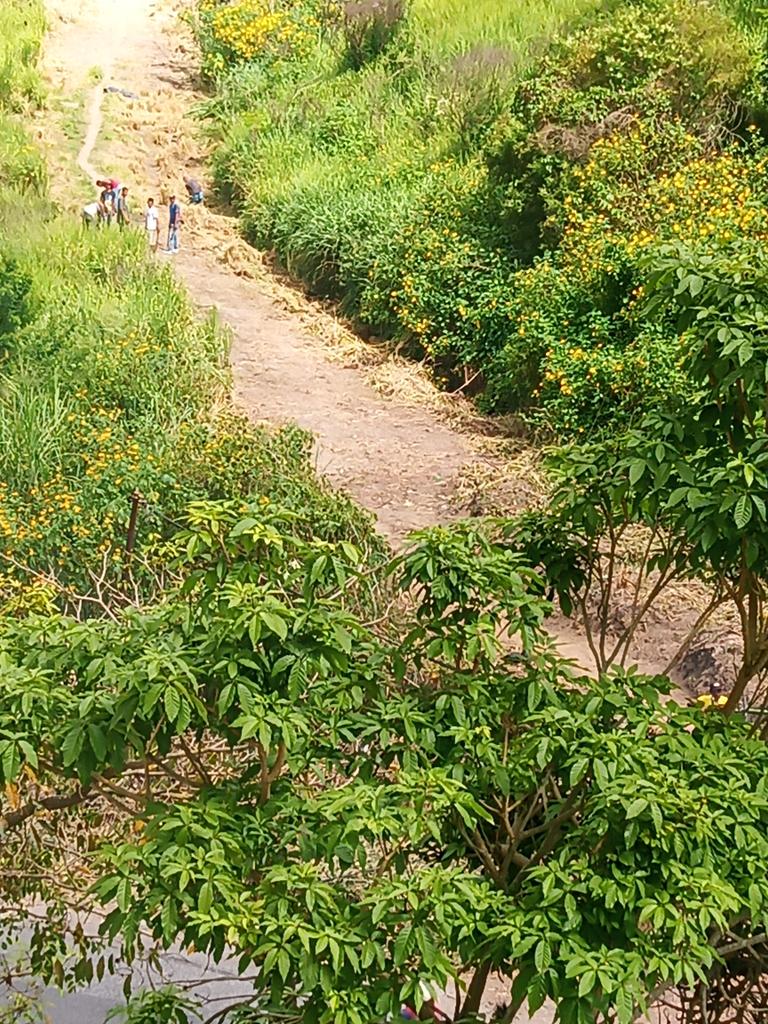 #HablanLosVecinos
La invasión cerca de la calle 16 de #LomasDelAvila sigue creciendo, ya llevan más de 4 días deforestando <a href="/lAlcaldiasucre/">AlcaldíaSucre</a> <a href="/JoseVRangelA/">José Vicente Rangel A</a> <a href="/PolisucreOficia/">Policía Municipal de Sucre / Miranda</a> <a href="/GNBolivarianaVE/">GNBolivariana</a> se llama a las autoridades y no dan respuesta