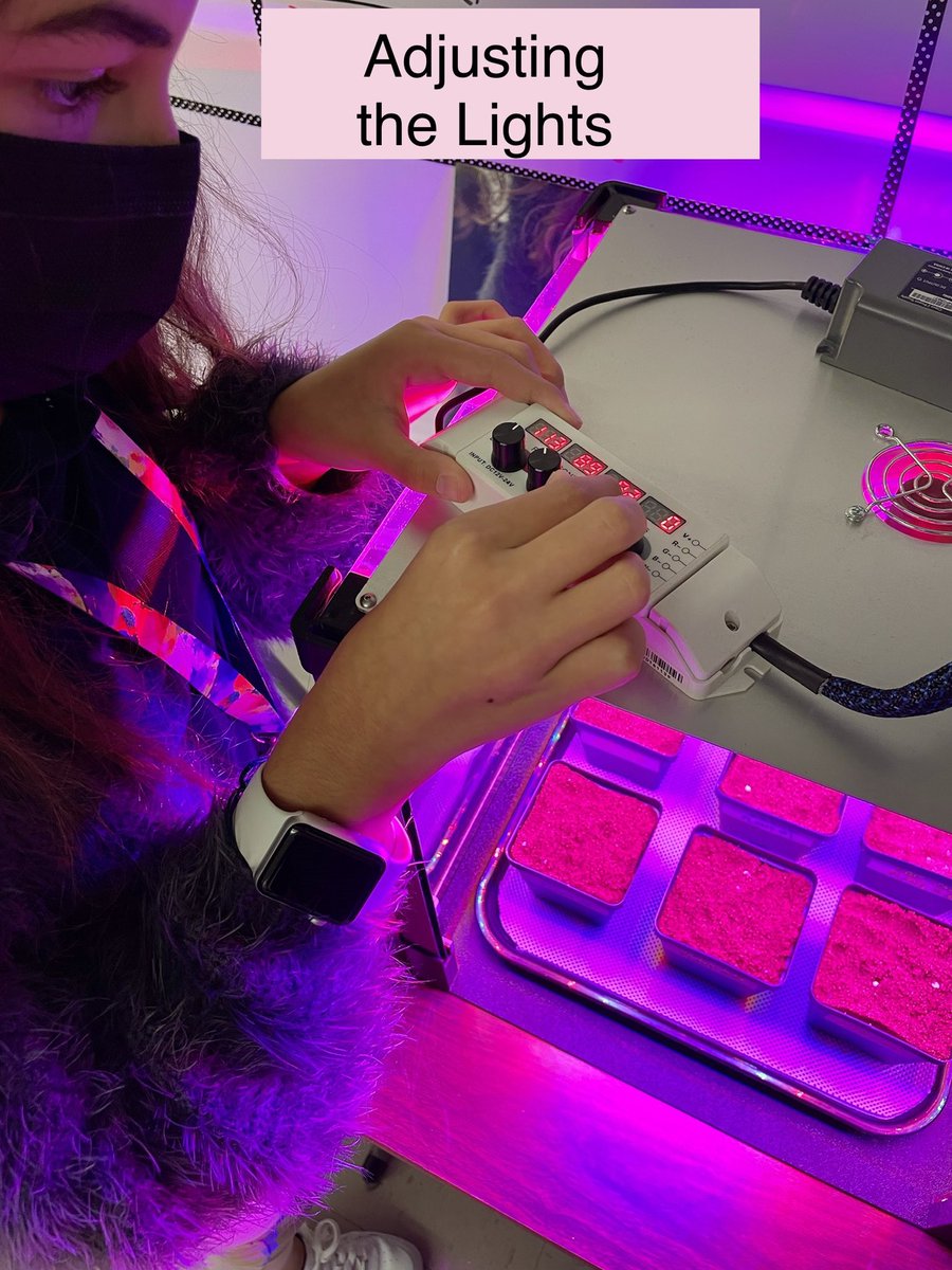 Ms Ro-Do tweet media