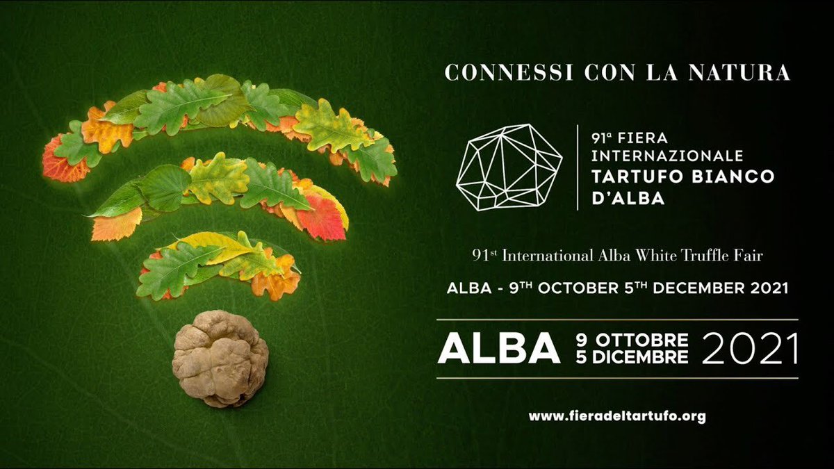 visitLMR's tweet photo. "Senza alberi non ci sono tartufi"
I ministri @mara_carfagna @massimogara, il presidente @Alberto_Cirio e tanti ospiti per la "Fiera Internazionale del #Tartufo Bianco d’Alba": quella della ripartenza ma anche l’edizione della sostenibilità.
https://t.co/GQCYZ02opN
#albatruffle https://t.co/WT6aehTBfe