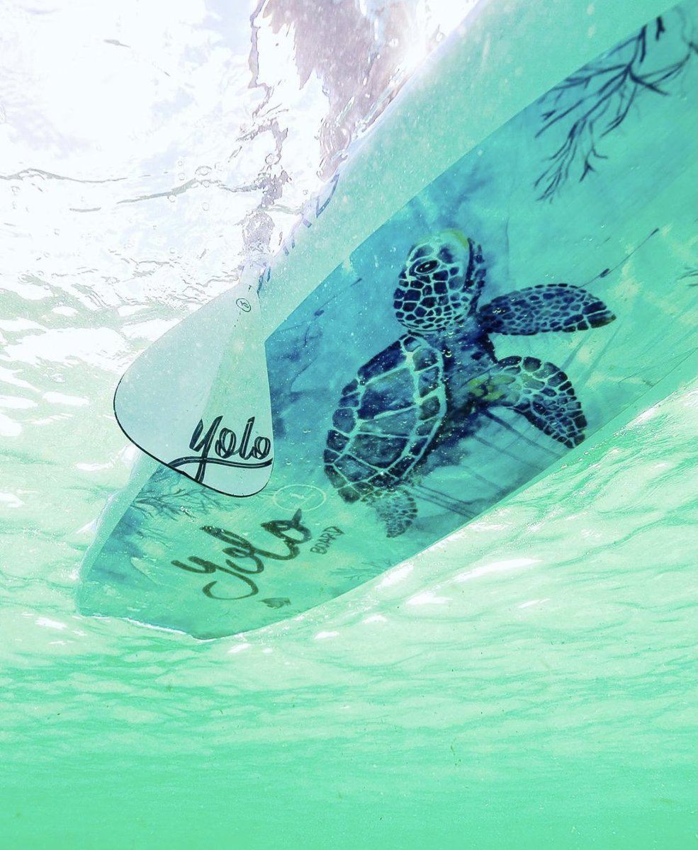 Yes, the gulf waters have been this clear 🙌.