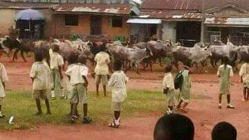 GTalk2iyke's tweet photo. After 61yrs of independence , Nigeria cannot fix their roads,no steady electricity, no reliable medical. I wonder how many years more they need to do these things as the country is disintegrating. @LeahHardingAJE @UKinNigeria @USinNigeria @EUinNigeria @real_IpobDOS @UNWatch @UN https://t.co/hUN7XyvI4a