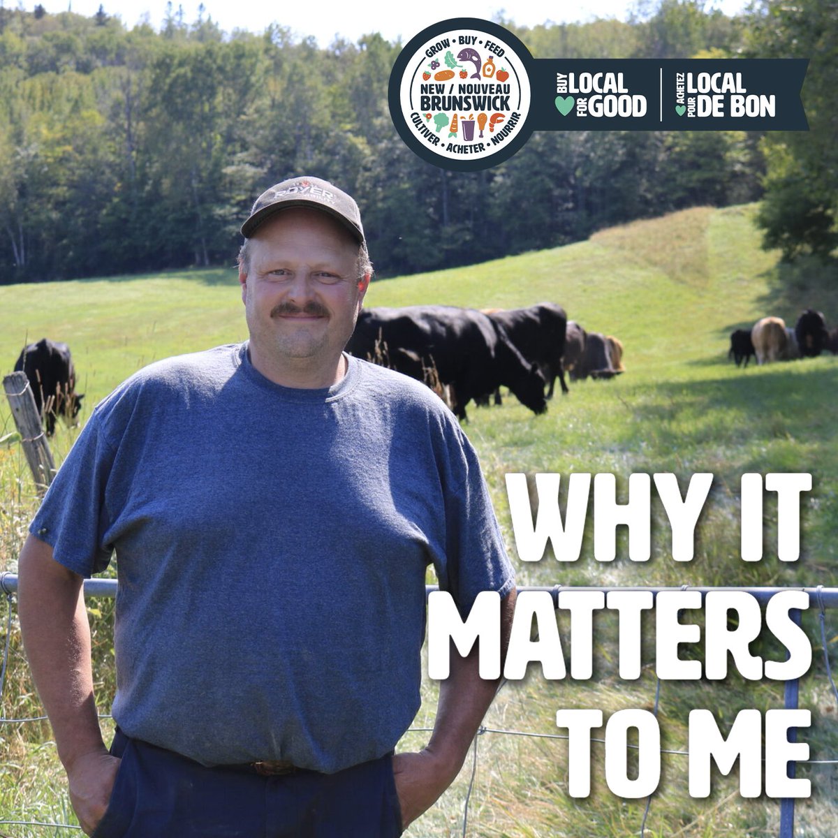 Mario Lavoie’s day begins at 4am when he cleans the cows’ udders before the milking. The day usually ends at 6:30pm, but in haying season, they often work until after dark at Ferme Republique. Look for the little blue cow on your milk carton to support local! 🐮#buylocalforgood