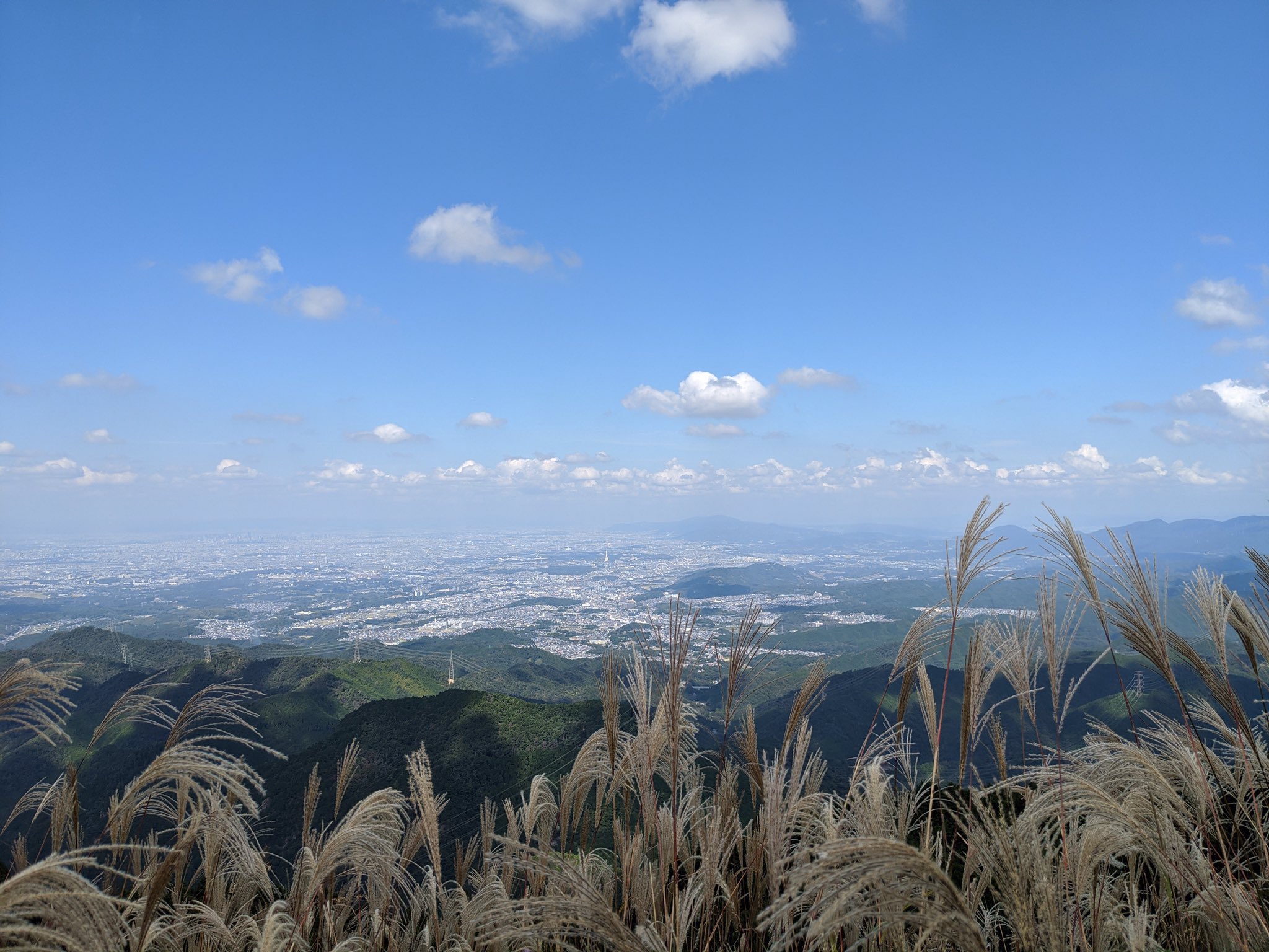 Onoka 3連休の中日 岩湧山のススキ見てきました ハバヤマボクチ 葉場山火口 というイカツイお名前 群生してたけどほぼ咲き終わってしまってた秋海棠の花 河内長野 岩湧山 ススキ 秋海棠 ベゴニア 低山ハイク T Co Z2ydwqgdv5