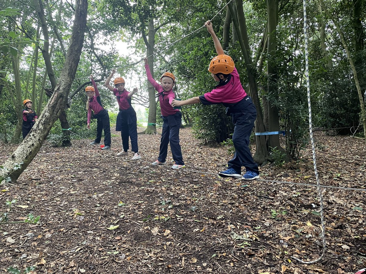 Bobby Pearson tweet media