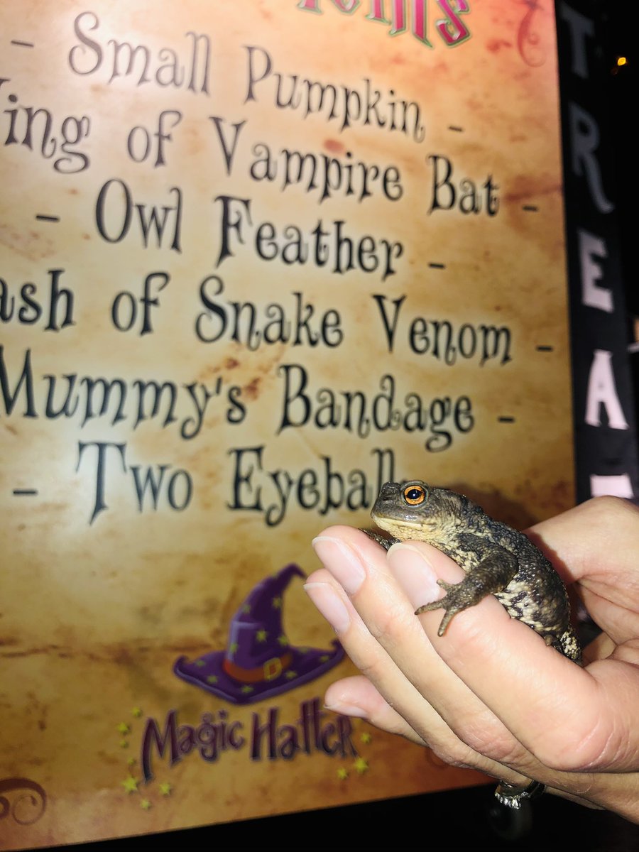 magichatter's tweet photo. An unexpected special guest before the first show today at @PigletsFarmPark 🐸 

I promise I didn’t put him in the potion, he’d have CROAKED! 🧙‍♂️

Shows at 12 and 2.30pm, so if you’re coming today…HOP to it! 🎩😀

#pigletsadventurefarm #pigletsyork #magichatter #York #Yorkshire https://t.co/AG1IGEd0rd
