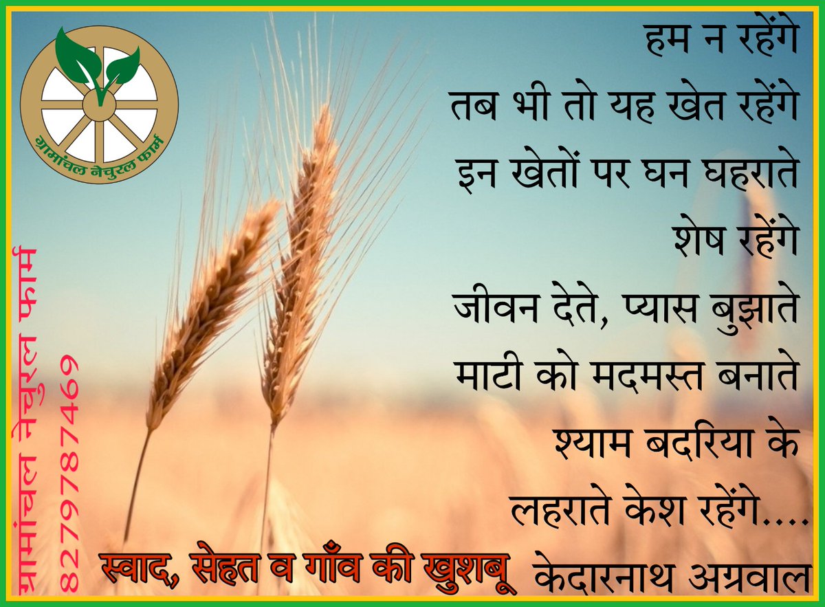 GramanchalF's tweet photo. #ग्रामांचलनेचुरलफार्म https://t.co/n2wqbyo7NL