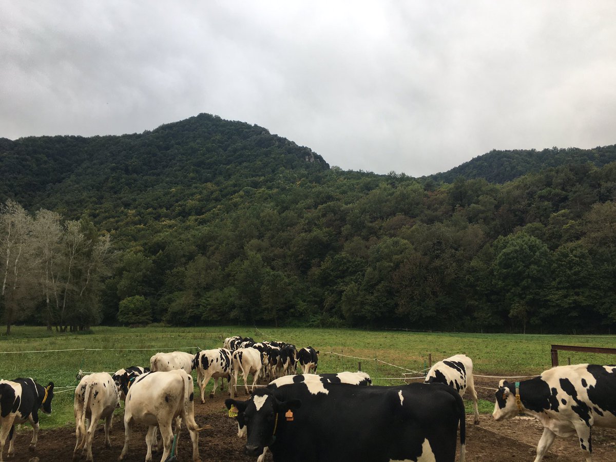 Vishal Zende tweet media