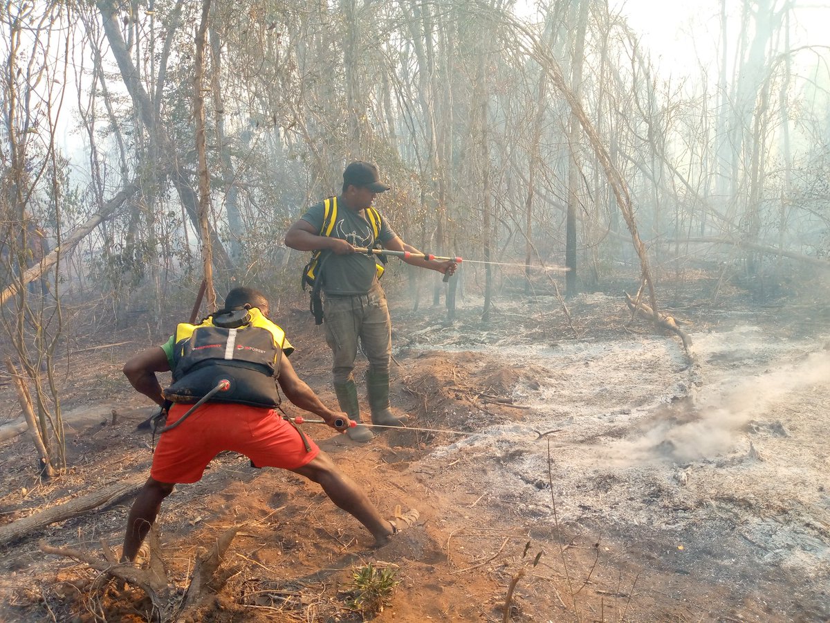 Jayah_Jacket's tweet photo. The fire has been control since yesterday. The post-fire verification was carried out this morning with Kirindy's VOIs.
@TeamKMCC https://t.co/HvmXDBSiAC