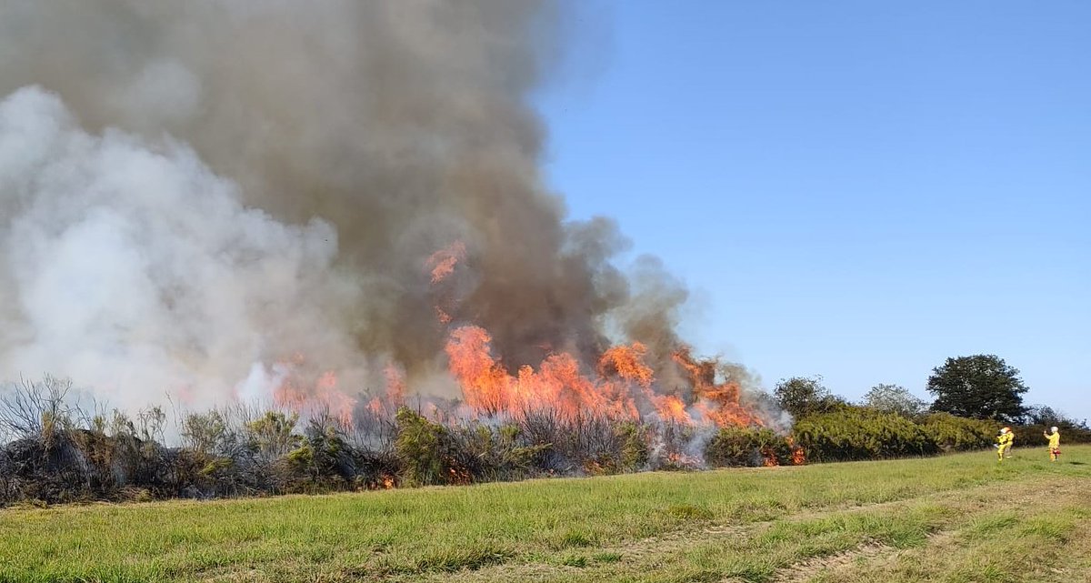 sdis86's tweet photo. Un second #Brûlis dirigé a lieu cet après-midi sur la Réserve naturelle du #Pinail.
➡️ #fumée importante : pas d’inquiétude !
⚠️ Il s'agit d'une opération réelle, menée en collaboration avec #GeRéPi, @SDIS40 et @sdis86
⛔️ secteur interdit au public par mesure de sécurité ⛔️ https://t.co/uKbqiYjBOy