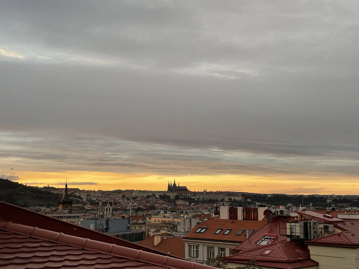 tycotyson's tweet image. 