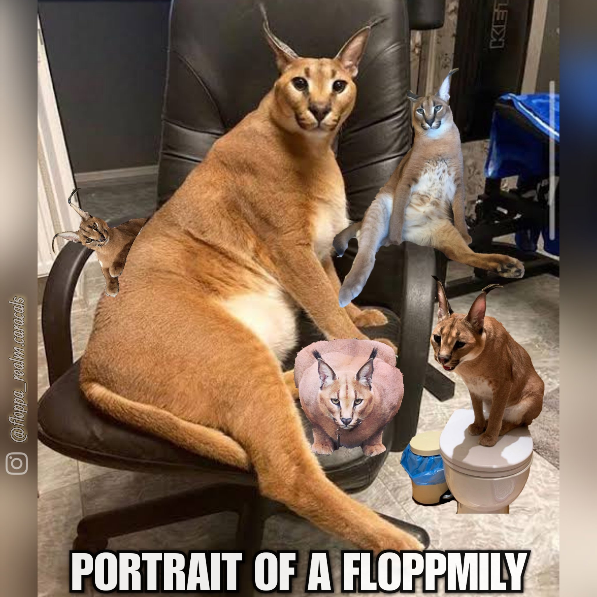 Gregory Caracal AKA Big Floppa - meme post - Imgur