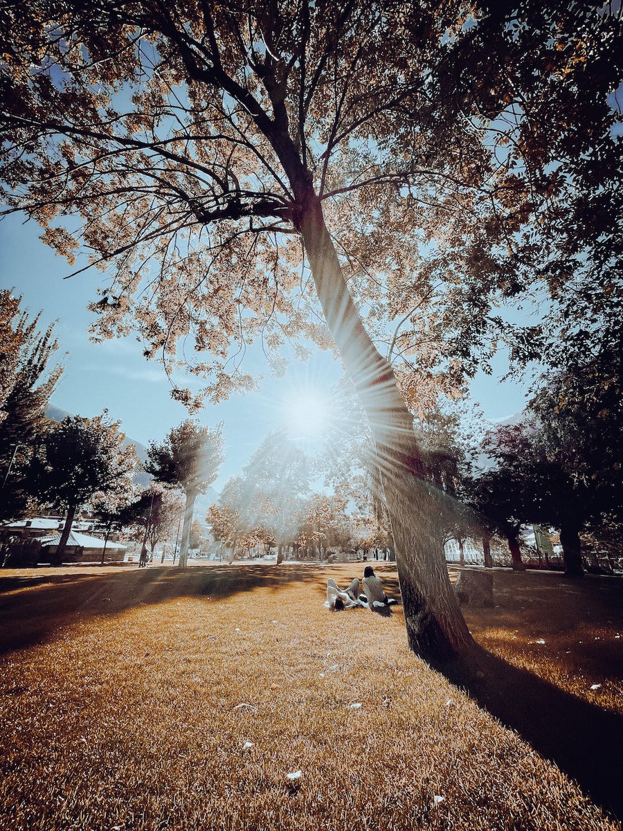 ☀️ No se'ns acut un millor lloc que el nostre Parc Central per gaudir d'aquest sol d'inicis de tardor i després d'un dia passejant per la ciutat. 

💚 Si t'agrada el pla. 

#andorralavella #andorra #turismeandorralavella