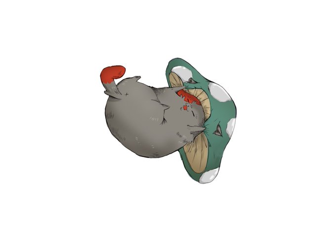 きのこのtwitterイラスト検索結果