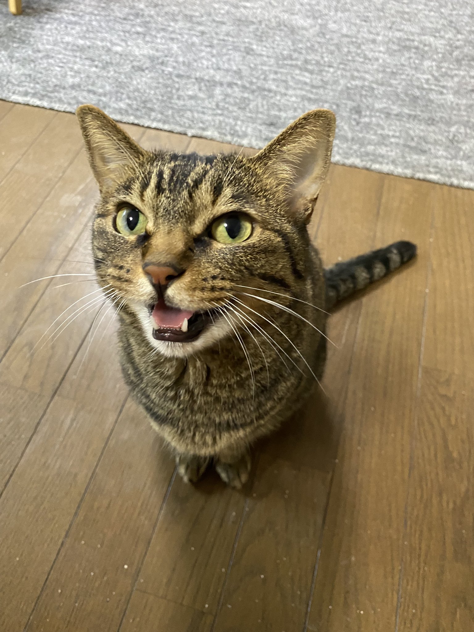 てん動画 Yukichi Ch Twitter