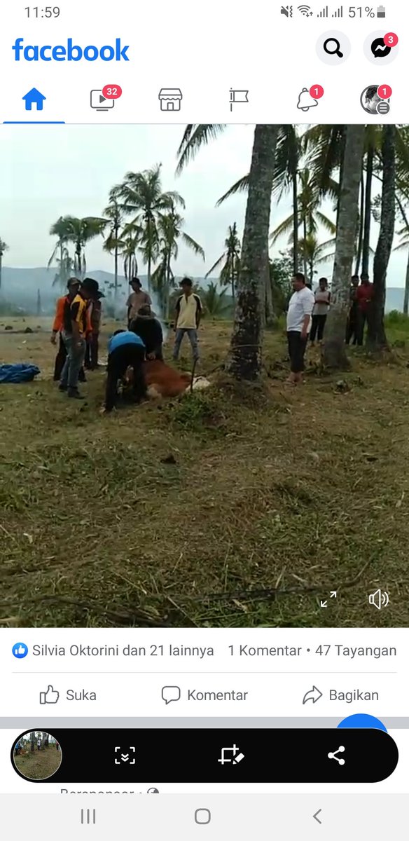 CupakUsali's tweet photo. Bantai jawi di Apalamo, persiapan https://t.co/wP58VjqLMn