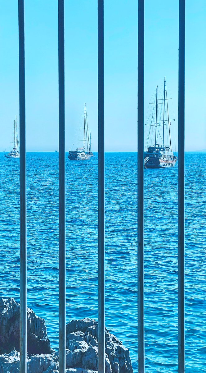 citizenoff's tweet photo. seascape from a cellar
#photography #bodrum #renovated #castle #windows #PhotoOfTheDay #beauty #photo #travelphotography #mobilephotography #seascape #ships #sailboats #bluesky #horizon #grates #amateurphotography #travel #hiking #tourism #daggerintheheart https://t.co/BamfVF6FO6