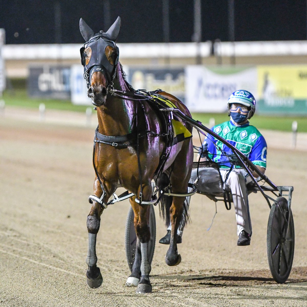 𝗦𝗖𝗛𝗪𝗘𝗣𝗣𝗘𝗦 𝗣𝗔𝗖𝗘
schweppes.com.au
🐴BONCEL BENJAMIN
𝗧𝗥𝗔𝗜𝗡𝗘𝗥: Jason Grimson
𝗗𝗥𝗜𝗩𝗘𝗥: Joshua Gallagher