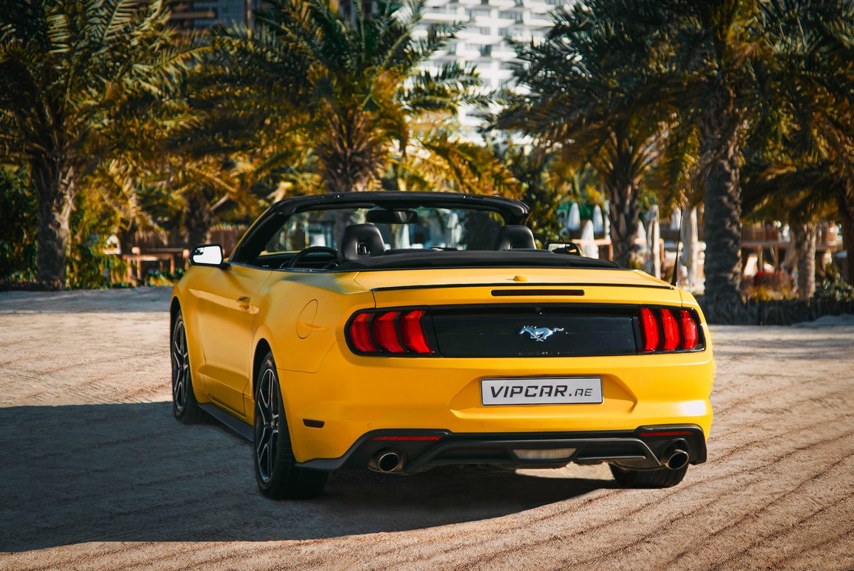 vipcar_ae's tweet image. Who could resist the charm of the Mustang? 💛

Drive a #MuscleCar
Book now
📱+971 55 345 1555
vipcarrental.ae/sports-cars/fo…

#YouAreVIP #VIPCar #SportsCar #DubaiStyle #DubaiCars #CarRentalDubai #RentACar