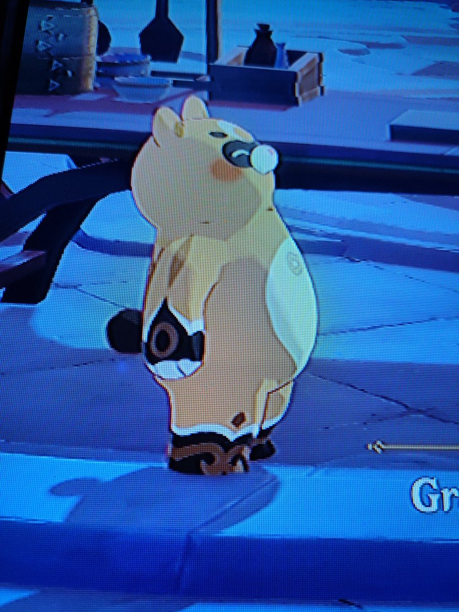 Un Guoba feliz, es un mundo feliz uwu

A Happy Guoba, it's a happy world uwu 
#guoba #Genshin #genshinanniversary #GenshinImpactanniversary