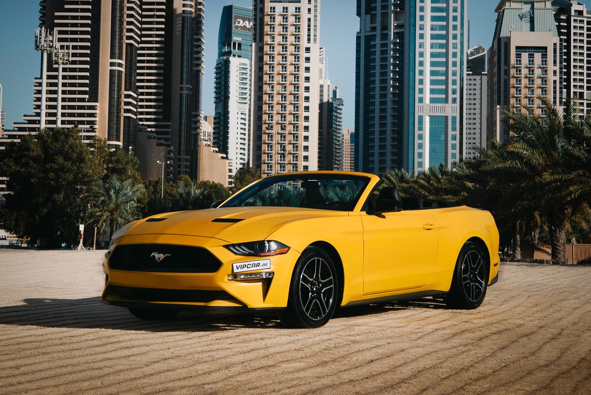vipcar_ae's tweet image. Who could resist the charm of the Mustang? 💛

Drive a #MuscleCar
Book now
📱+971 55 345 1555
vipcarrental.ae/sports-cars/fo…

#YouAreVIP #VIPCar #SportsCar #DubaiStyle #DubaiCars #CarRentalDubai #RentACar