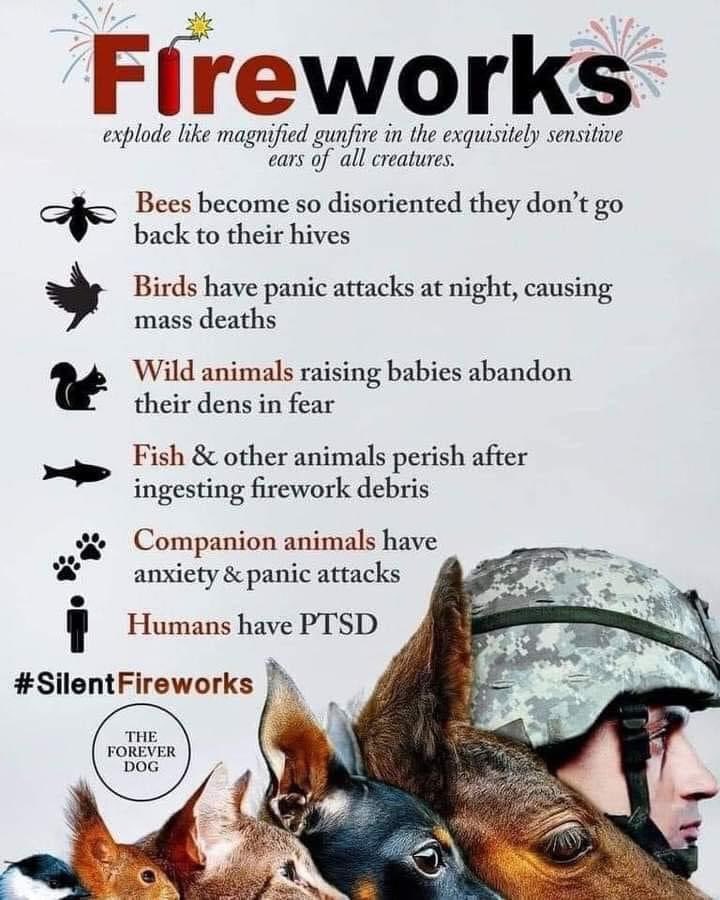 Karen @TzuKingdom ๐ผ๐ถ๐ฆโ๏ธ๐จโ๐ฆฝ๐ก๐งโโ๏ธ๐ข๐ถ๐ฑ (@karenbookwriter) on Twitter photo #silentfireworks #silentfireworks