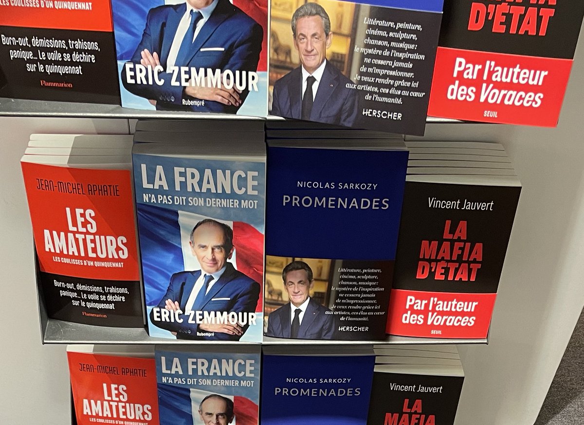 Comme chacun y va de sa vision, j’ai le plaisir de vous annoncer la prochaine sortie de ma BD « Les aventures de La Juje et Michou ». Des barres assurées !

Seul je n’irai pas à l’Élysée, ensemble c’est vous qui n’y irez pas 💪🏻👊🏻
#Presidentielle2022