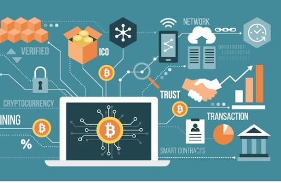 center_startup's tweet photo. Blockchain and Cryptocurrency E-Degree 
👇
 https://t.co/AfbRaqRjXX #training #degree #projects #learn #master #bootcamp #students #teachers #career #project #blockchaintechnology #bitcoin #concepts #crucial https://t.co/r5KQ8L5MIi