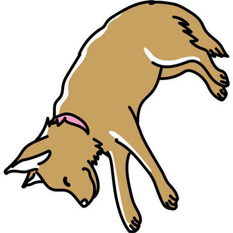 犬の横顔のtwitterイラスト検索結果