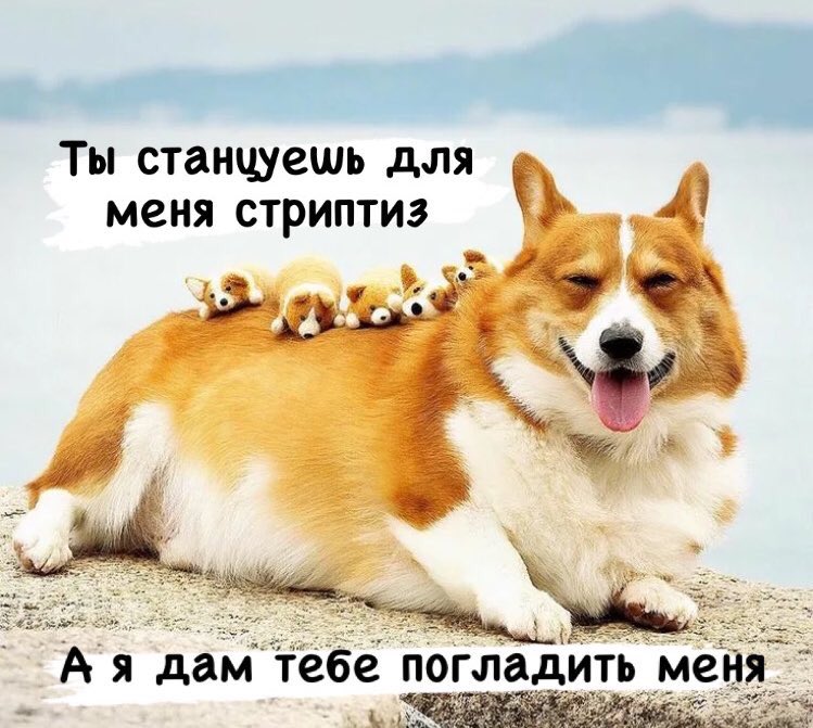 NaturalTobiEbal's tweet photo. 💙 Ищу мью 💙
Меня зовут Эвелина и тут не будет никаких срачей!!!

Обо мне:
• Фандомная шлю-
• Меломан
• Прошиппер
• INTP

Выкладываю:
• Зарисовки
• Новости по аниме
• Что-то милое

Здесь рады:
• Всем, кто не устраивает срачи

Ниже чуть подробнее!!!

#поискмью https://t.co/p8z9vWlcCp