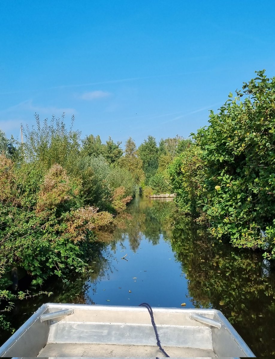 Wat is het toch heerlijk om juist nu te varen op de #westeinderplassen.