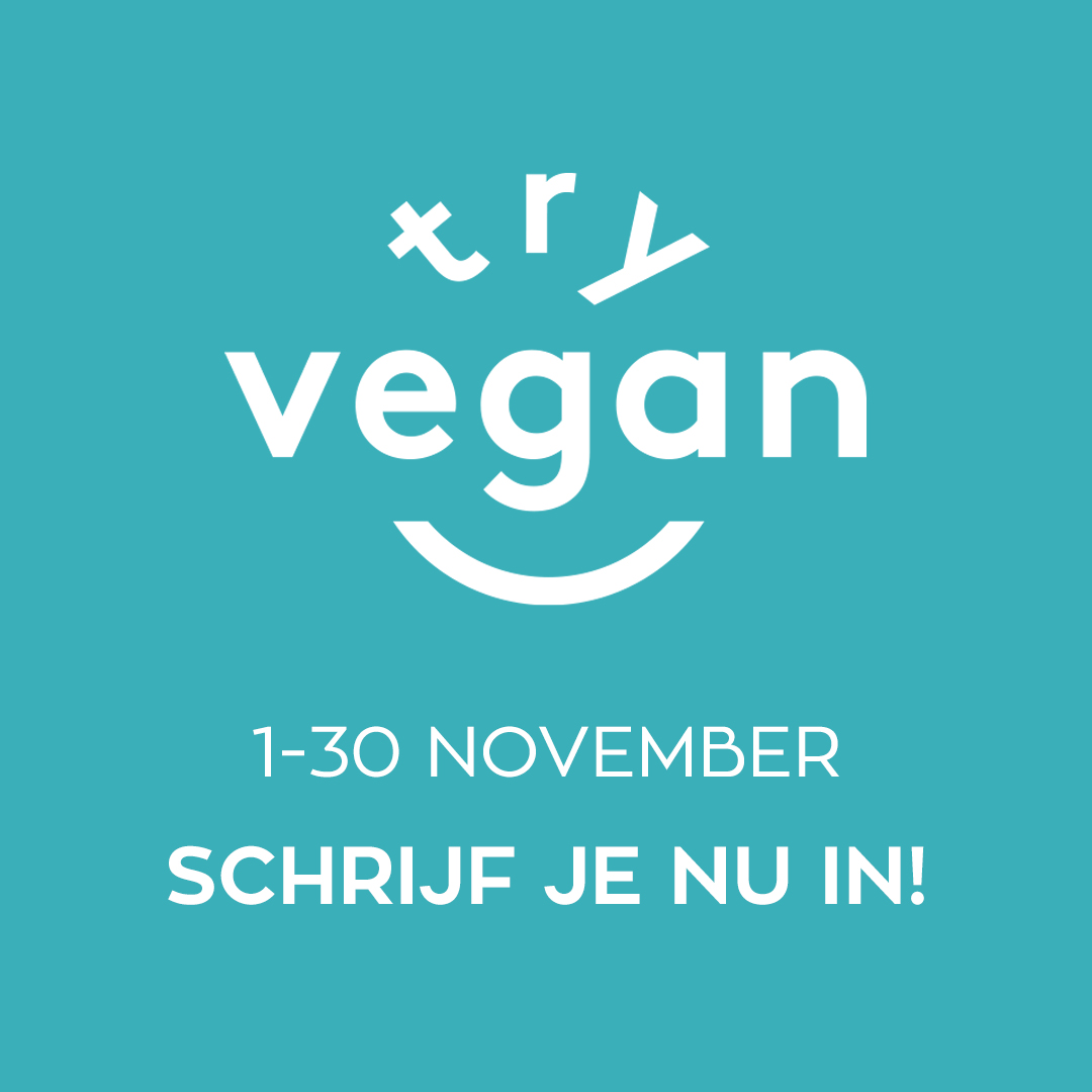 OwlBeeCo's tweet photo. #Vegan or not, November is the best time for Belgians to learn more about #veganism with Try Vegan! Get recipes, inspiration, and shopping tips, like our amazing #VeganTrademark certified cosmetics!

Find out more here: https://t.co/oMMhF54p9W

🦉🐝 

#OwlAndBee #VeganBelgie https://t.co/F3FnmDZ6AW