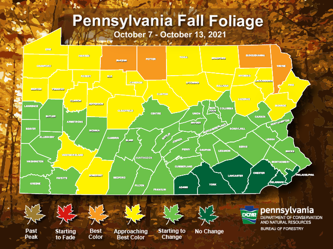 NWSPittsburgh's tweet photo. If you are still looking for weekend in plans, here is an updated fall foliage 🍂🍁map by PA DCNR: https://t.co/wqS75MF14L