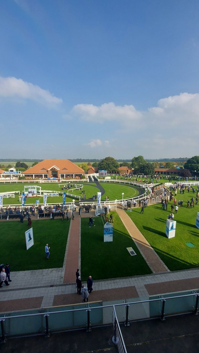 It's been a while 👋 #Newmarket