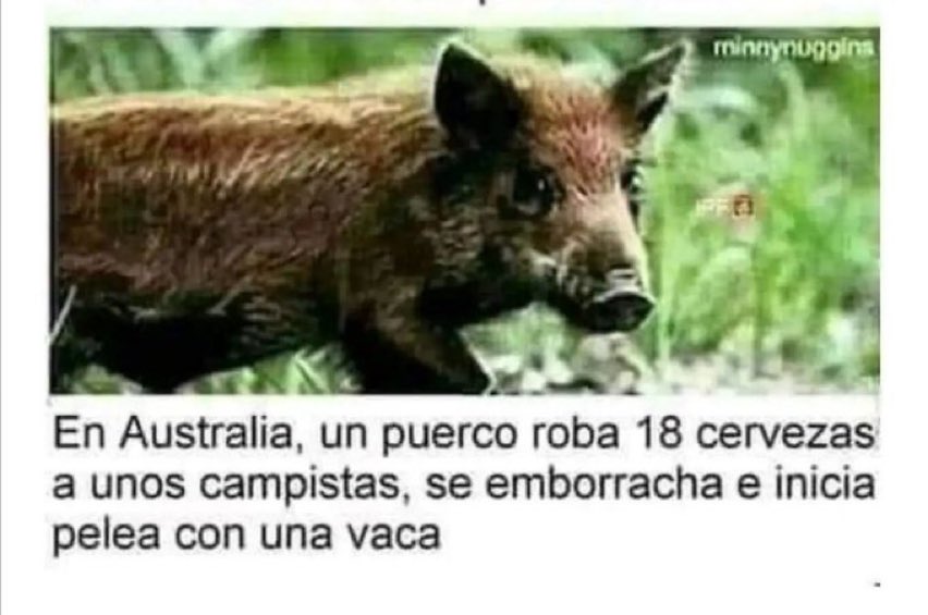 Fergos_92's tweet photo. O que é sair de tranquis https://t.co/8eHrpEybFB