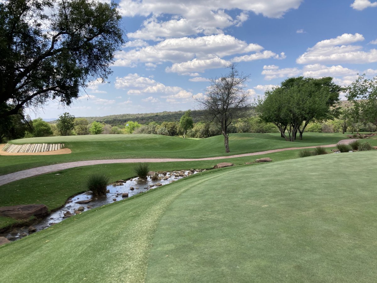 zukokubukeli tweet media