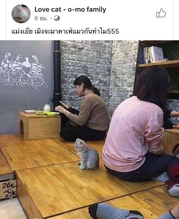 คุณหนูเซียงเซียง tweet media