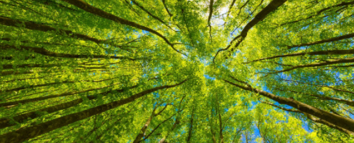 Did you know that 80% of our carpet tiles are manufactured using recycled materials? 😱

Find out more: bit.ly/3n8FNKB

#Carpet #CarpetTiles #Sustainable #Recycled #Environment