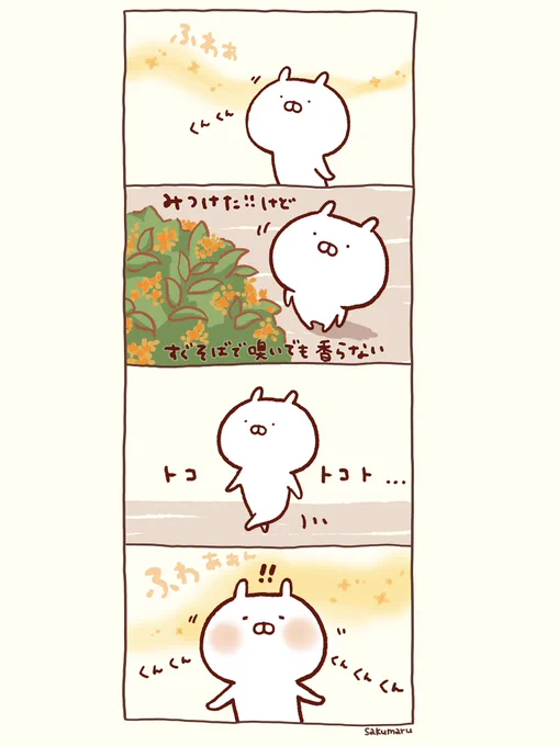 キンモクセイ🔸 