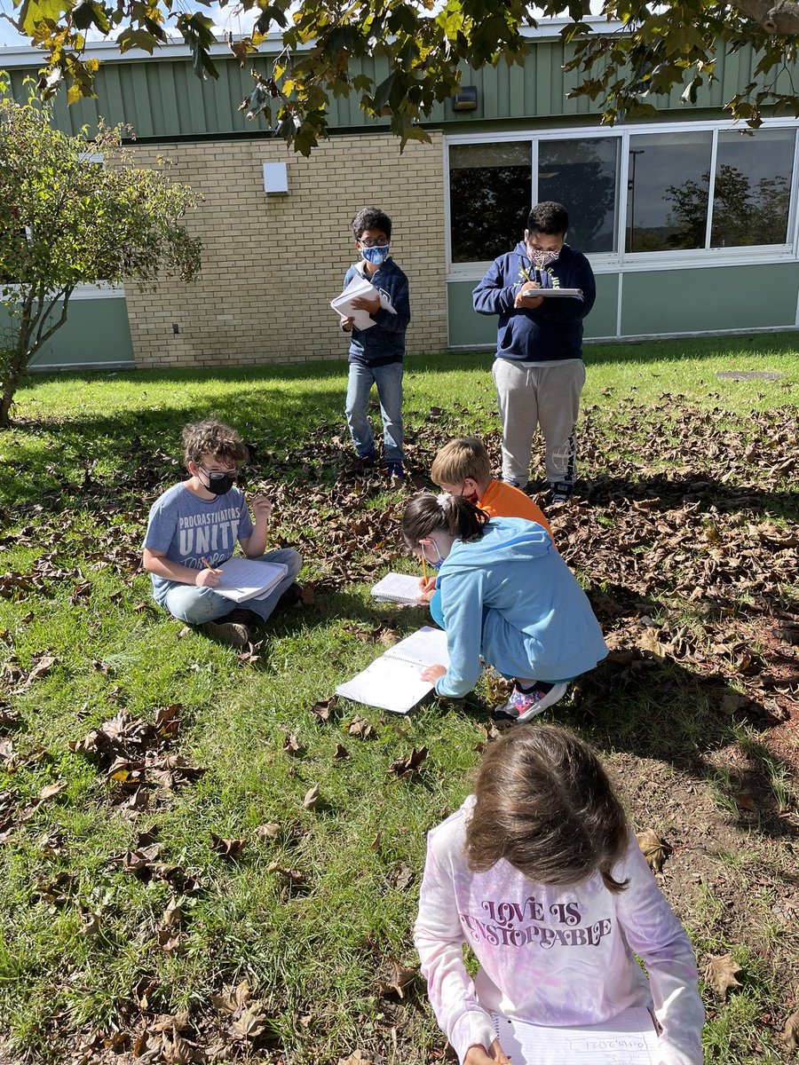 MsMeehan421's tweet photo. Why do leaves change colors? @FUFSD_GH @FUFSD https://t.co/acbHyakxKz